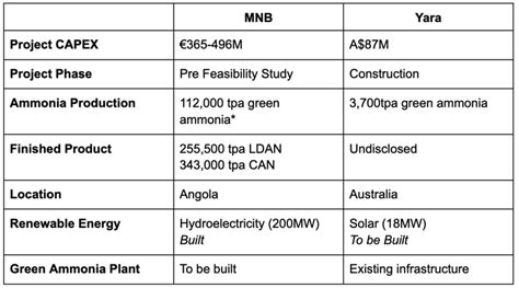 Mnb Reveals First Glimpse Of Green Ammonia Project Financiers Now