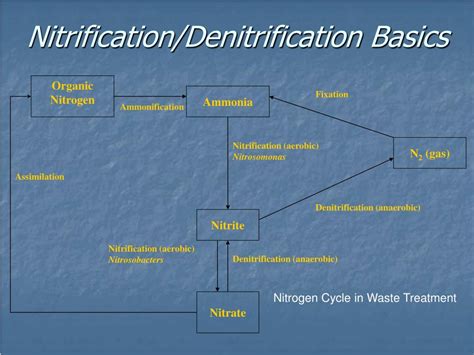 PPT - Simultaneous Nitrification and Denitrification Study in ...
