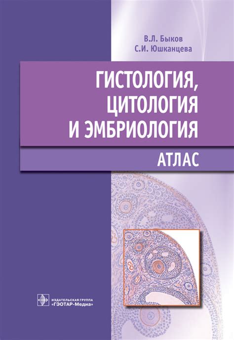 Гистология, цитология и эмбриология. Атлас — Дом медицинской книги ...