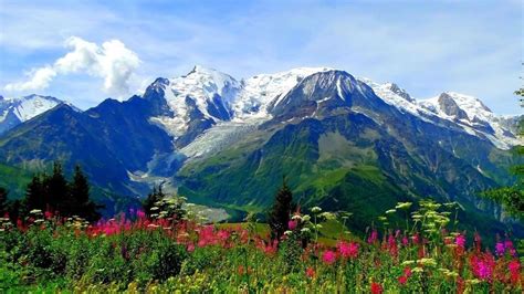 Valley of Flowers: The Complete & Best Trekking + Information Guide 2023