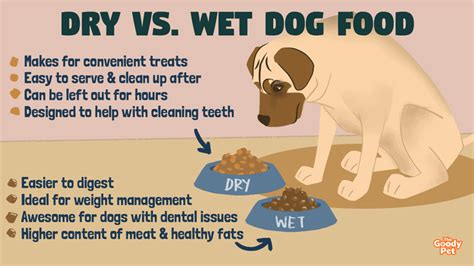 The Surprising Wet vs Dry Dog Food Differences - The Goody Pet