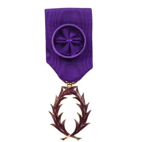 M Daille Officier De L Ordre Des Palmes Acad Miques Decoration