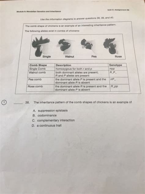 Solved Module 6 Mendelian Genetics And Inheritance Unit O Chegg