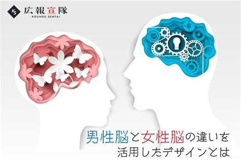 男性脳と女性脳の違いを活用したデザインとは サブスク 定額制 で実績28年のデザイン会社に依頼広報宣隊