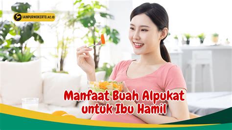 Manfaat Buah Alpukat Untuk Ibu Hamil Dan Promil Birds N Bees