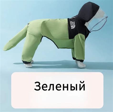 Комбинезон для собак средних и крупных пород купить на OZON по низкой ...