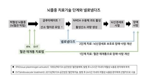 지엔티파마 뇌졸중 치료제 임상 3상 진행