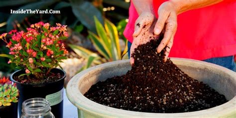 How Much Peat Moss Do I Need Are You Calculating Right Outdoorstip