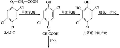 烃类化合物的生物降解挂云帆