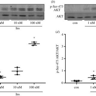 Angptl Expression In The Investigated Cell Lines Ac All Cell Lines