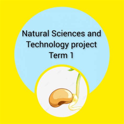 Natural Sciences and Technology Project – Term 1 • Teacha!