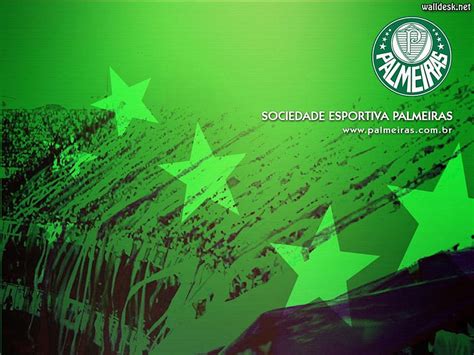 Bandeira do Verdão palmeiras mancha verde HD wallpaper Pxfuel