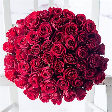 Floristería Rosas Barcelona | Comprar Rosas Barcelona