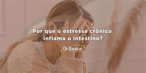 Por que o estresse crônico inflama o intestino Blog do Dr Barakat