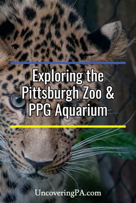 Exploring the Pittsburgh Zoo and PPG Aquarium in Highland Park - UncoveringPA