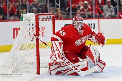 Another former Red Wings goalie retires after 14 NHL seasons - mlive.com