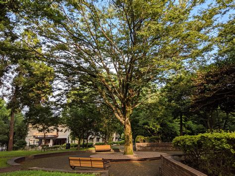 Kumamoto University Kurokami Campus : r/japanpics