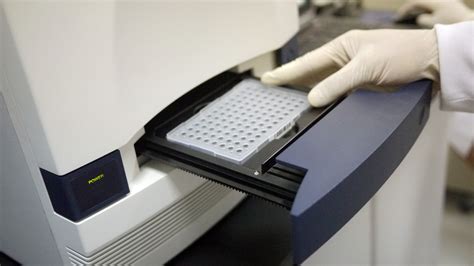 Real Time Pcr System