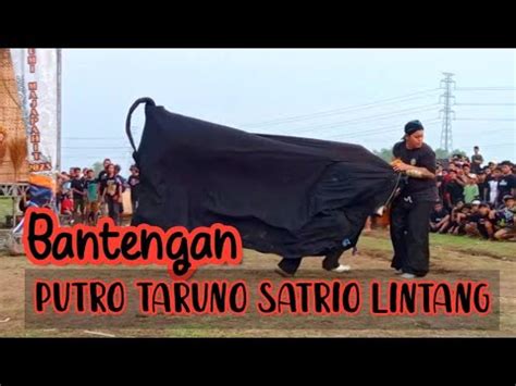 Bantengan Putro Taruno Satrio Lintang Mengamuk Depan Museum Trowulan