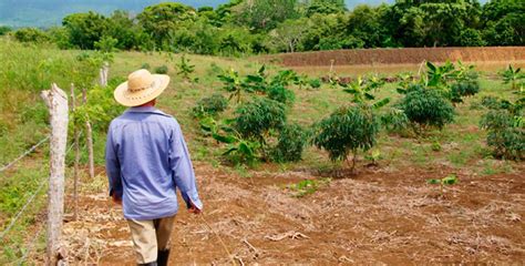 Gobierno dividió reforma a Ley de Tierras ELHERALDO CO