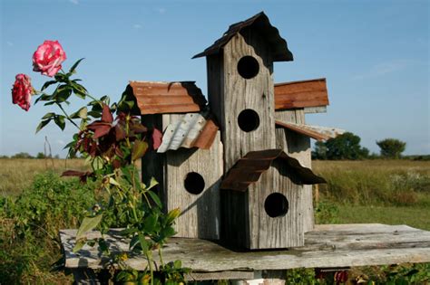 78 Decorative, Painted, Outdoor & Wooden Bird Houses (PHOTOS)