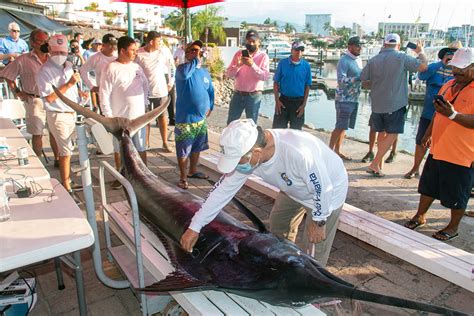 Día 2 Del 65 Torneo Internacional De Pesca Marlin Y Pez Vela On Bahia