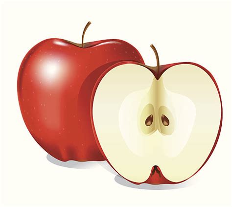 Red Delicious Apple Clip Art Illustrations Royalty Free Vector