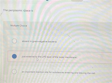 Solved The periplasmic space is Multiple Choice absent in | Chegg.com