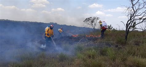 Incendio En Serranía De La Lindosa Arrasó Cinco Hectáreas De Vegetación