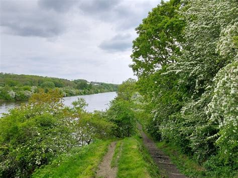 The Weardale Way And Hawthorn On The Tim Heaton Geograph