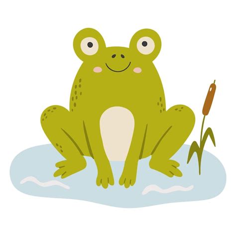 Premium Vector | Frog animal vector abstract baby frog vector frog baby ...