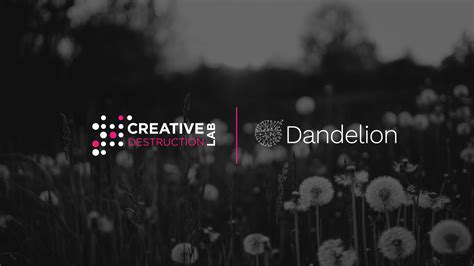 Creative Destruction Lab And Dandelion Health Partner To Unlock AI