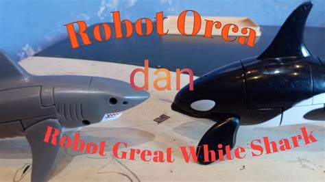 Robot Orca Dan Robot Great White Shark Youtube