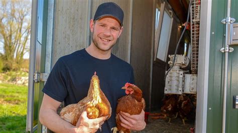 Hühner im Lockdown So trifft Geflügelpest Landwirte in Hamm