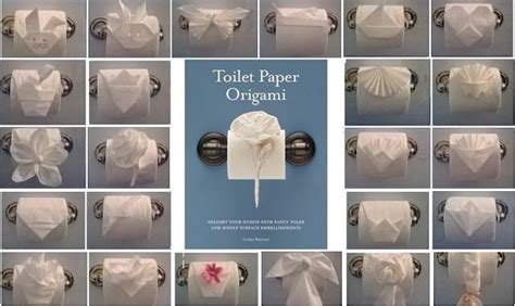 If You Have Too Much Time Toilet Paper Origami Book Origami Toilet