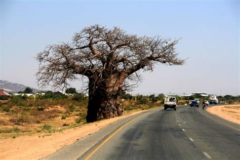 Flickriver: Most interesting photos from Dodoma, Dodoma, Tanzania