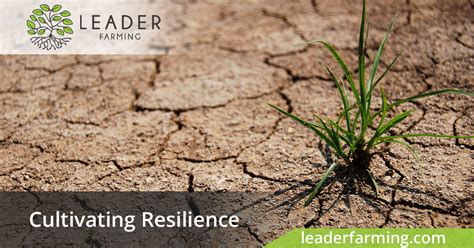 Cultivating Resilience Leader Farming