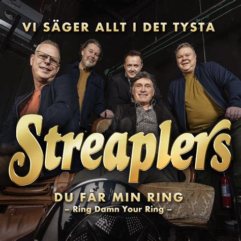 Vi säger allt i det tysta song and lyrics by Streaplers Spotify