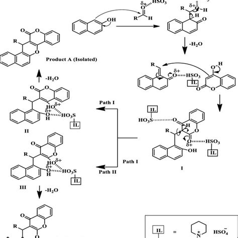 Plausible mechanism of coumarin derivative synthesis | Download ...