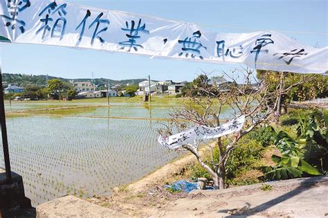 通霄溪伏流水工程 3月底定奪