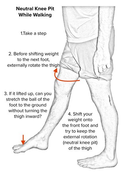 External Rotation Of Knee