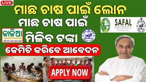 Fish Farming In Odisha Fish Farming Loan Apply Online Safal Portal