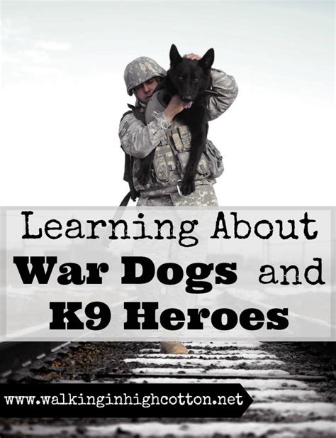 War Dogs Book Rebecca Frankel - War Dogs Tales Of Canine Heroism The ...