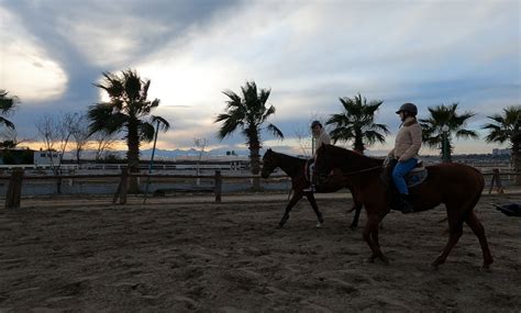 Horseback Riding Tour