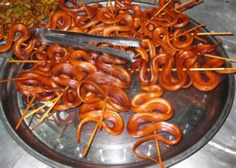 A Taste of the Wild: What Does Snake Meat Taste Like?