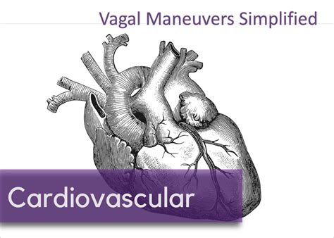 Vagal Maneuvers Simplified — NUEM Blog