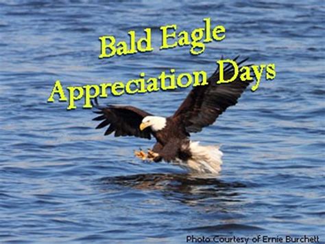 39th Annual Bald Eagle Appreciation Days, Day One | Keokuk, Iowa