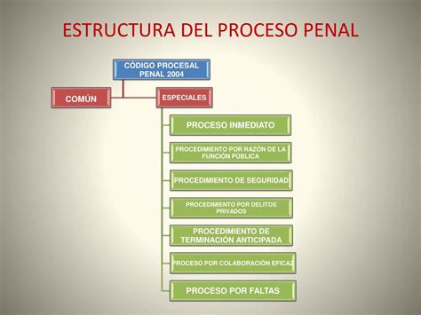 Partes Del Proceso Penal