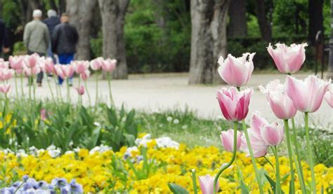 Varna Sea Garden Walking Tour (Self Guided), Varna, Bulgaria