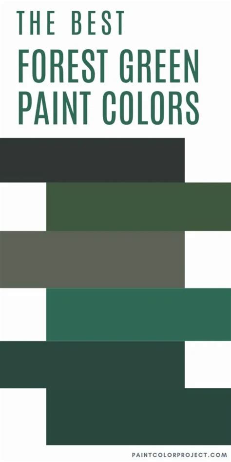 The Best Forest Green Paint Colors The Paint Color Project